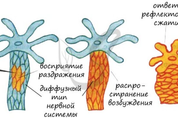 Ссылка омг в тор браузере